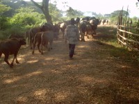 /album/album-photos/imag0168-jpg/