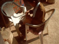 /album/album-photos/imag0263-jpg/